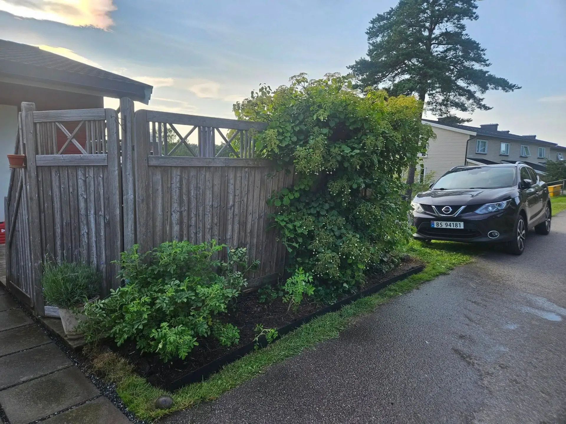 Hagearbeid og beplantning